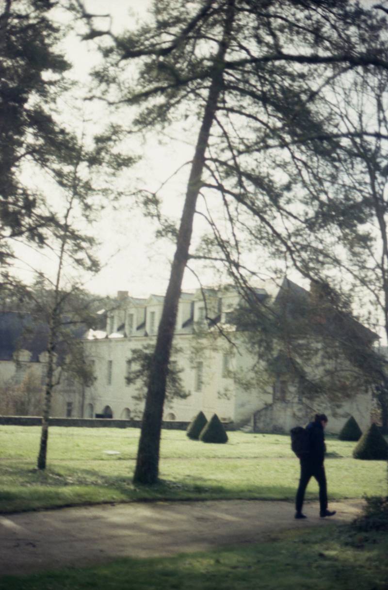 Les jardins de l'abbaye de Fontevraud